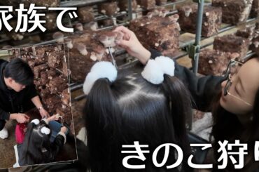 【家族vlog】 ベビちんはじめてのキノコ狩り🍄‍🟫【オフシーズン】