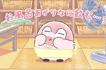 【公式】TVアニメ『コウペンちゃん』 第32話「日帰り温泉」