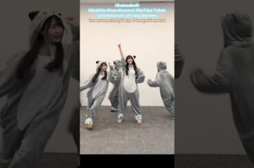 日向坂46 駆け回る猫たち♪大田美月 蔵盛妃那乃 高井俐香 佐藤優羽