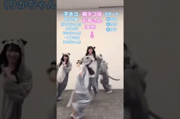 親ネコのテンションもやばいけど…子ネコ（子供）が可愛すぎな件 #大田美月  #蔵盛妃那乃 #高井俐香 #佐藤優羽  #日向坂 #日向坂で会いましょう