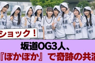 【坂道OG】三坂の楽曲を踊るコラボも！原田葵×齊藤京子×生駒里奈が『ぽかぽか』で共演！！！ #櫻坂46 #櫻坂46の家