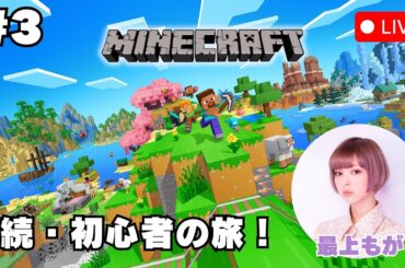 #3【Minecraft】続・初心者の旅