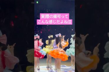 実際の撮可ってこんな感じ　#cutiestreet #きゅーすと #shorts #桜庭遥花 #川本笑瑠 #板倉可奈 #古澤里紗 #ひたむきシンデレラ #japanjam #JJ2025 #アイドル