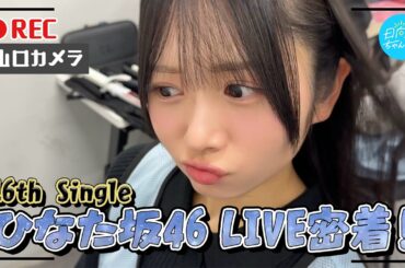 【メンバー目線カメラ】山口陽世が16th Single ひなた坂46LIVEでカメラ回してみた！