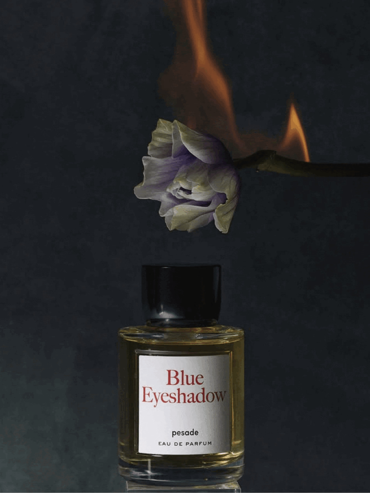 ペサドゥ　バレンタインセレクション