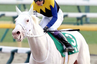 ７着に敗れたマルガ（カメラ・荒牧　徹）