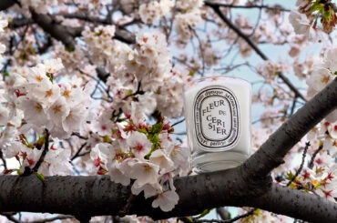 Diptyqueより春の訪れを告げる限定版キャンドル “Fleur de Cerisier”が再登場！