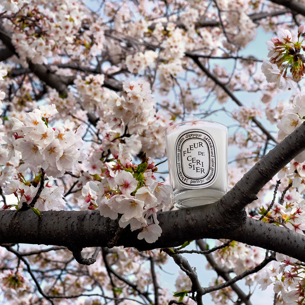 Diptyqueより春の訪れを告げる限定版キャンドル “Fleur de Cerisier”が再登場!