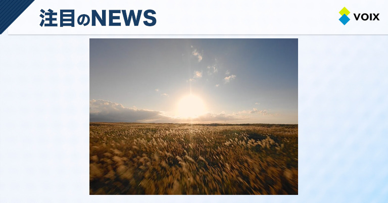 HONESTUALが提案する日常をアートに昇華する新しいビューティーライフスタイル – VOIX life HONESTUALが提案する日常をアートに昇華する新しいビューティーライフスタイル