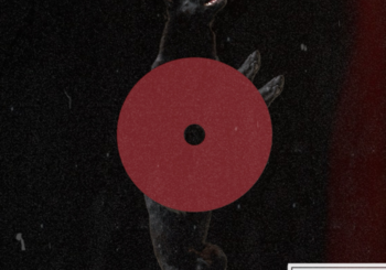 RhymeTube, 日本猿, HIZAGUTYA & Kee Rooz、「ZOO」を配信開始｜THE MAGAZINE