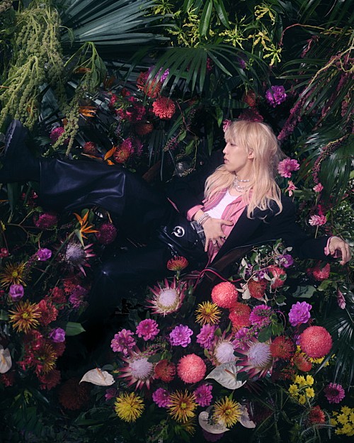 Aile The Shota、ニューアルバム『REAL POP 2』リリース日に「開花宣言」MVプレミア公開 Aile The Shota、ニューアルバム『REAL POP 2』リリース日に「開花宣言」MVプレミア公開