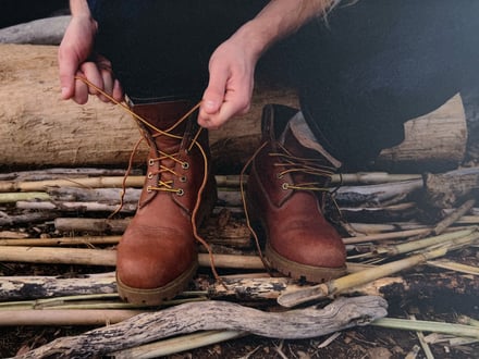 ヴィジュアル画像