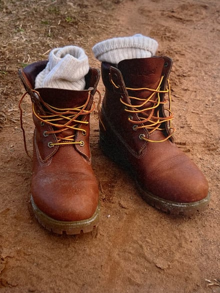 ヴィジュアル画像