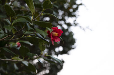 【現地レポ】WACK合同オーディション2026 6日目①「地下アイドル病」と、渡辺淳之介が最後のWACKオーデで問いかけていること - StoryWriter