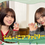 【のぎ動画】あやめにオススメ！#7「シルバニアファミリーをオススメ！」配信開始