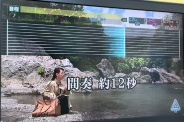 電波の海原歌ってみました。(折笠愛さんと高田由美さんの曲)