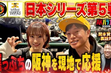 【日本シリーズ 第5戦 現地観戦】阪神、今年もありがとう！