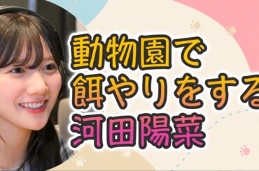 【文字起こし】動物園で餌やりをする河田陽菜