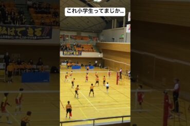 全国優勝の瞬間！！ #バレーボール #volleyball