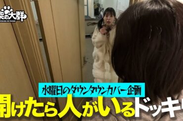 【豆柴の大群】水曜日のダウンタウンカバー企画「開けたら人がいるドッキリ」
