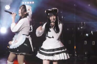 260226 LIVE in SETi vol.76 : 夜明け Brand New Days(ベイビーレイズJAPAN) - 이로파레 귀오미 직캠