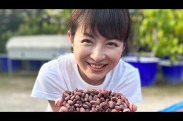 平井理央「タイのランパーンまでカカオ豆を視察」チョコレートで起業し奮闘した1年「低GIで乳酸菌約1000億個のチョコを」