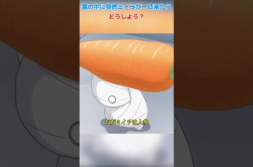 家の中に突然ミイラが一匹来たら、どうしよう？/ミイラの飼い方/田村睦心 / 河本启佑 / #shorts #anime #animals #animation#映画