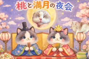 桃と満月の夜会ラジオ🌸🌕🎎