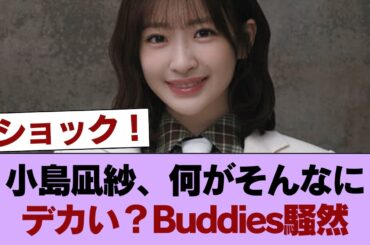 【朗報】小島凪紗さん、もうデカすぎんだろ...Buddies歓喜へ #櫻坂46 #櫻坂46の家