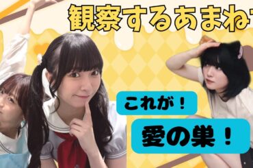 【蓮ノ空切り抜き】愛の巣を観察するあまねす