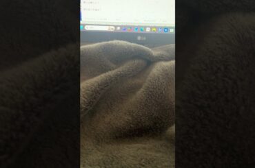 2026 03 07 井澤詩織に質問