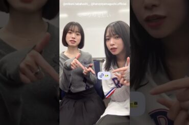 山口陽世 髙橋未来虹 日向坂46「7回目のひな誕祭」一般チケット販売スタート！4月4日.5日横浜スタジアム