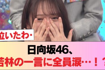 【日向坂46】若林さん「今日で...」衝撃告白にメンバー全員涙！？【ひなあい】 #日向坂46 #日向坂 #日向坂で会いましょう #乃木坂46 #櫻坂46