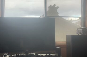 【キュート】現最高オーディオで聞いた#鈴木愛理 #矢島舞美　素晴らしいアルバム