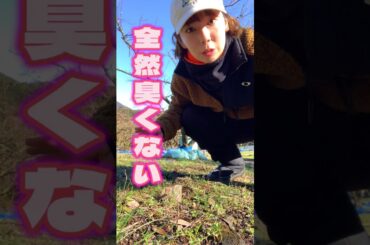 さきちぃ〇〇の匂いで鼻がおかしくなった⁈ #梅農家 #農業女子