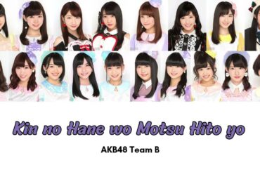 AKB48 - Kin no Hane wo Motsu Hito yo [Romaji/Colorcoded Lyrics]