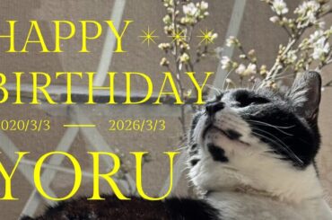 あさひな祭り2026後夜祭＆よる生誕を祝う！