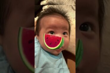 「お顔そっくりに…」中川翔子 生後5ヵ月双子が“あるデビュー”もむちむちでアウト!?表情豊かなまん丸な瞳で見つめる2人の姿に反響