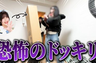 【絶叫】段ボールが勝手に動き始めたらこうなりますww