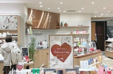 韓国LG生活健康のヴィーガンブランド「freshian」、日本の自然派コスメ市場で存在感拡大　写真枚　国際ニュース：AFPBB News