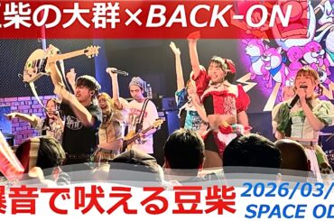 2026/03/06【豆柴の大群×BACK-ON】豆柴初の生バンドライブ『爆音で吠える豆柴』（バンドセットは58分57秒〜）