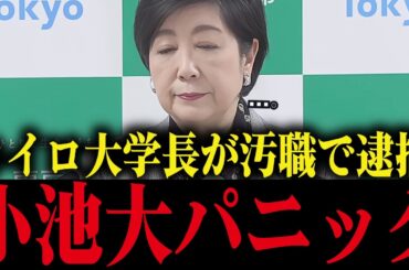 【小池百合子】癒着疑惑のあったカイロ大学長が汚職で逮捕...学歴詐称疑惑が明らかに...【小池都知事/さとうさおり】