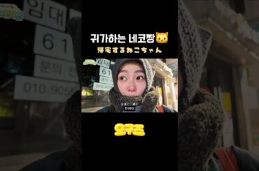 귀가하는 네코짱 #高田夏帆 #타카다카호 #고시원 #고양이 #カップル