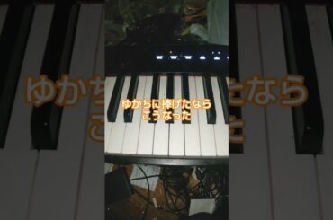 もりおかピアノ🎹／井口裕香さんに捧げます。