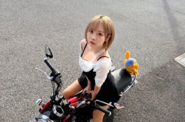 DAXのわんたん飼いたいの！1匹で良いから！🐕