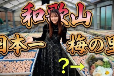 ふわり愛 和歌山県の旅  カタタ丼とは？ ~白間美瑠篇~