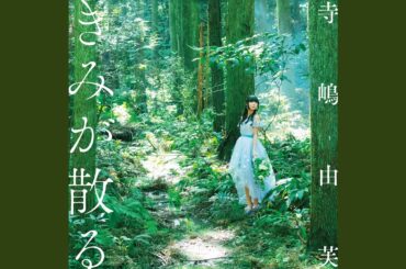 コンプレックスにさよなら