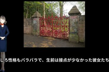 20260209-a03[ja](映画)海と夕陽と彼女の涙 ストロベリーフィールズ(出演：佐津川愛美､谷村美月､芳賀優里亜､東亜優)(2006年){日本} [en]Strawberry Fields