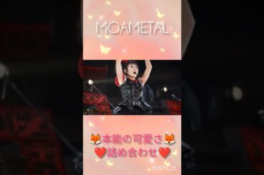 【BABYMETAL】MOAMETALの本能の可愛さをご覧ください❤🦊❤　#shortvideo #shorts #short