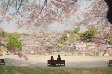 キリン一番搾り　近所の桜篇　30秒